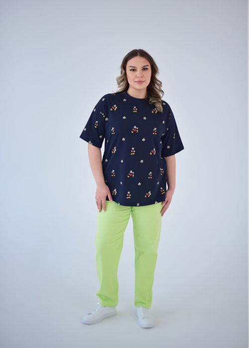 Брюки FR 5201/1 сал.