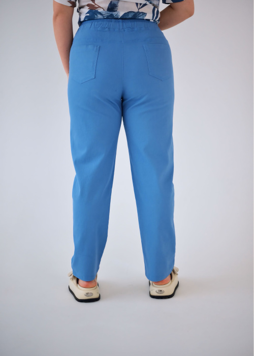 Брюки FR 5201/1 гол.