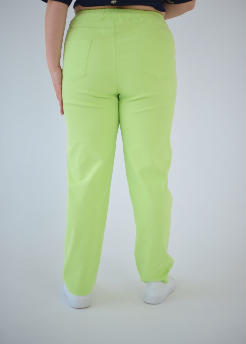 Брюки FR 5201/1 сал.