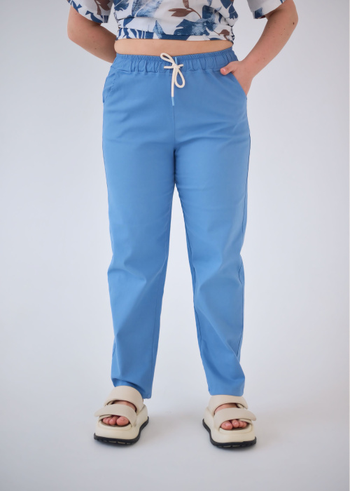 Брюки FR 5201/1 гол.