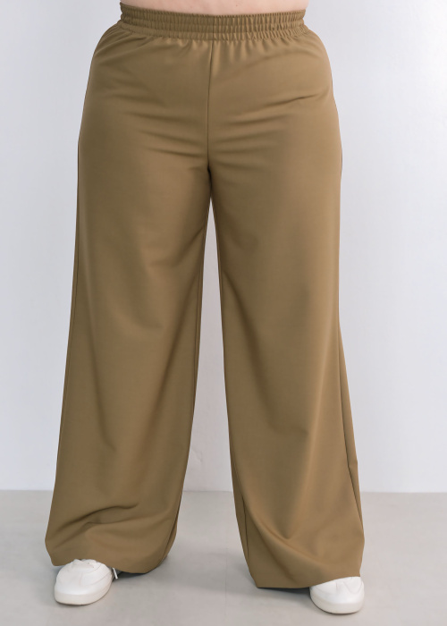 Брюки FR 2024 горч.