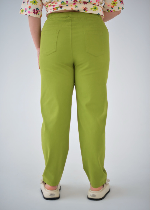 Брюки FR 5201/1 вас.