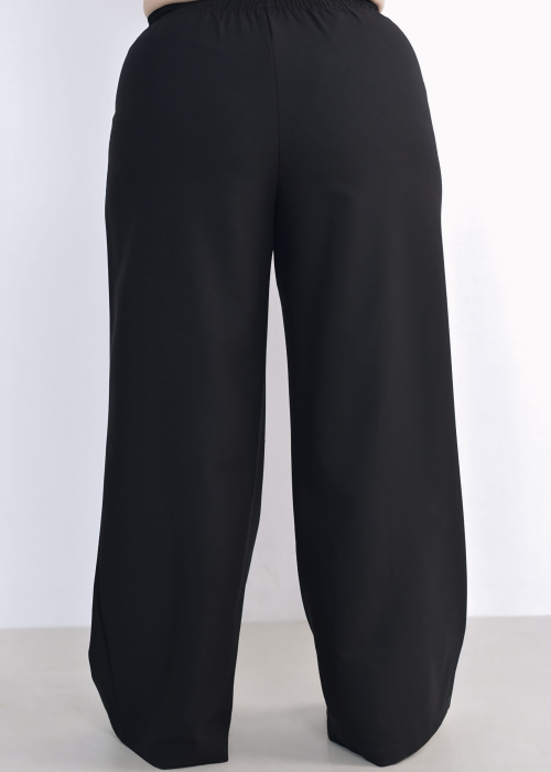 Брюки FR 2024 чер.