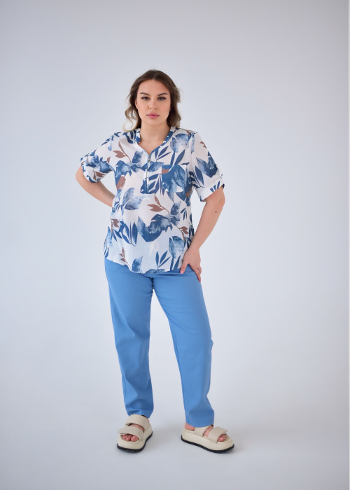 Брюки FR 5201/1 гол.