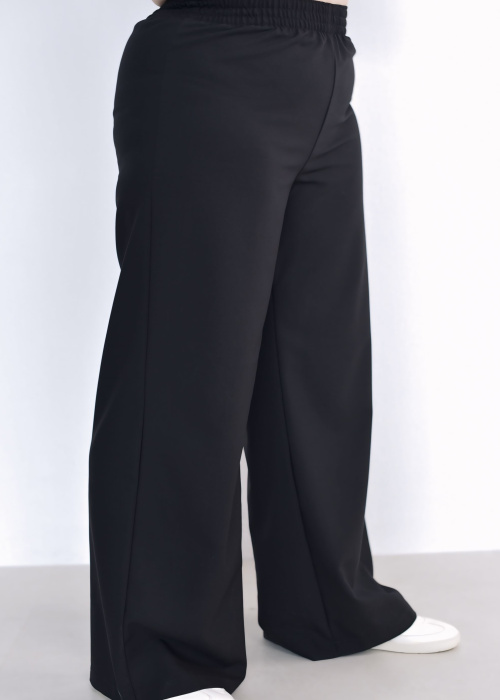 Брюки FR 2024 чер.