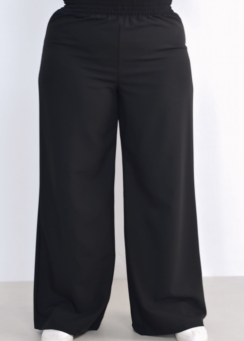 Брюки FR 2024 чер.